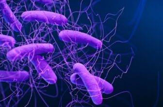 Covid Vaccine Tech Is Being Used to Struggle a Nasty, Diarrhea-Inflicting Micro organism