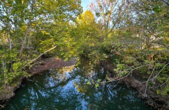 The Little Issues E-newsletter #438 – Life, laughter, and plenty of nice meals!