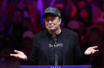 Elon Musk will lead a brand new ‘Division of Authorities Effectivity,’ Donald Trump says