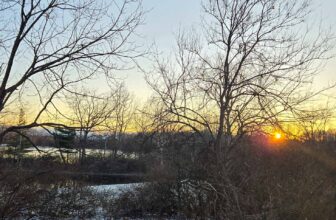 The Little Issues E-newsletter #448 – Life, laughter, and many nice meals!