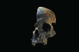 Archaeologists Uncover Horrific Prehistoric Bloodbath in Britain
