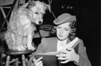 The ten Most Intriguing Sci-Fi and Horror Scripts on This 12 months’s Black Listing
