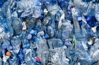 Scientists Sound the Alarm Over Plastics in Our Brains After Stunning Research