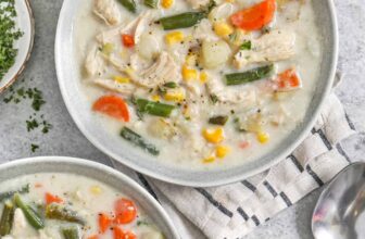 Sluggish Cooker Hen Stew – Spend With Pennies