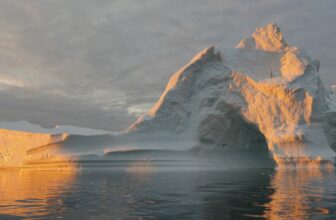 Rising Seas Might Displace Hundreds of thousands, Triggering World Migration Disaster, Research Warns