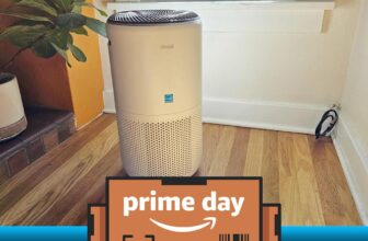Our favourite sensible air air purifier continues to be out there for $37 off on this Prime Day deal