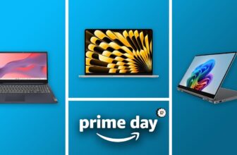 MacBooks, Home windows 11 machines, Chromebooks and others
