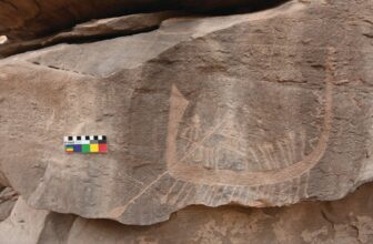 5,000-12 months-Outdated Rock Carving Is Among the many Oldest Recognized Depictions of an Historic Egyptian Ruler