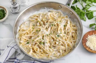 Cottage Cheese Alfredo Sauce