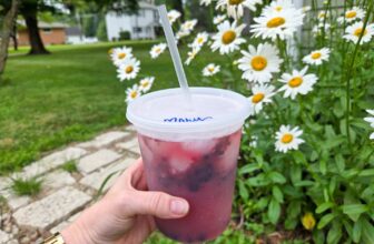 Straightforward Mocktails – Barefeet within the Kitchen